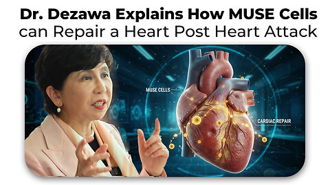 Dr. Dezawa Explains How MUSE Cells can Repair a Heart Post Heart Attack