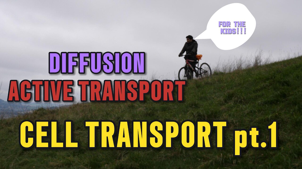 DIFFUSION AND ACTIVE TRANSPORT Cell Transport Part 1 #diffusion #activetransport #science