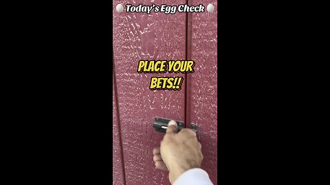 🥚 Today’s Egg Check! 🥚