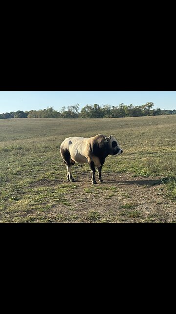 Tell your friends! They’ll want him!