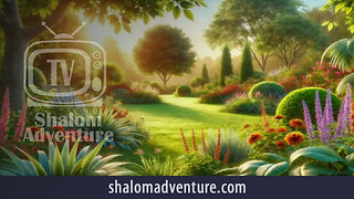 Lifestyles and Longevity | Shalom Adventures