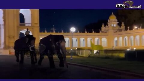 ആനകൾ തമ്മിൽ ഏറ്റുമുട്ടുന്ന ഭീകര ദൃശ്യം പുറത്ത് _ Elephant attack eachother in Karnataka