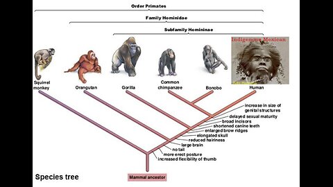 Scientific Racism