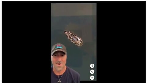 What do you see in Alcatraz