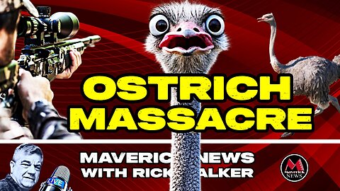 Canadian Ostrich Massacre: Who Is Really To Blame?