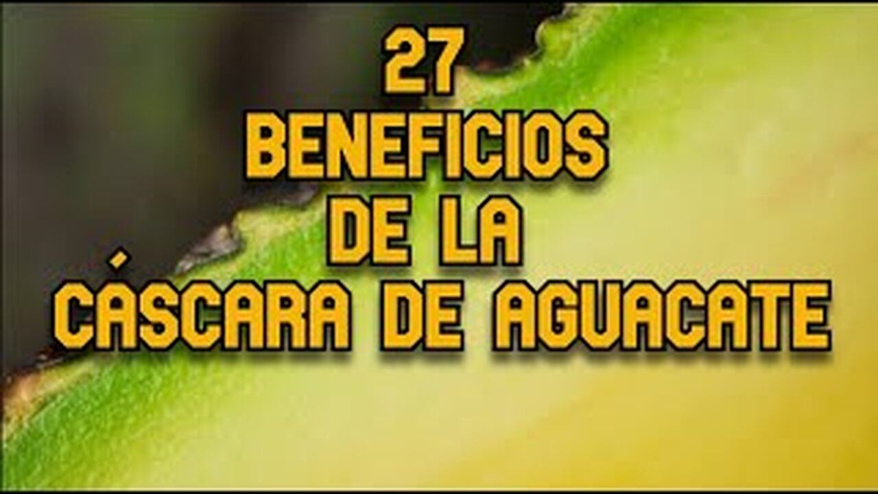27 Beneficios de la Cáscara de Aguacate