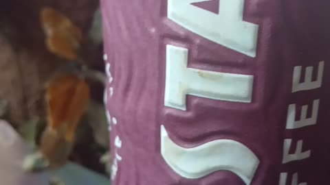 My bank manager said buy a Costa coffee machine it will be cheaper