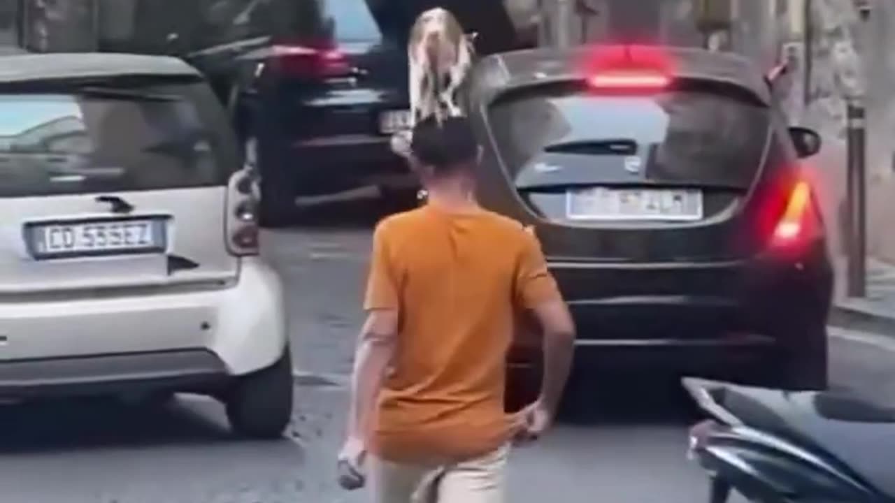 News Break