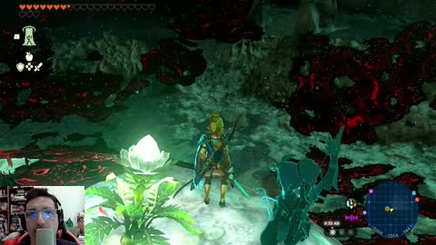 The Legend of Zelda Tears of the Kingdom | Ep. 133 - FIRST GLEEOK! Lake Hylia Hole & Highland Well