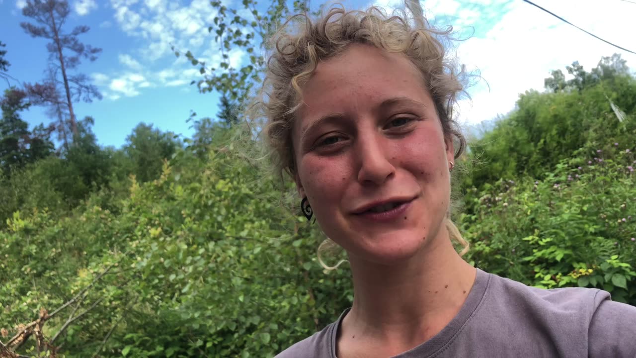 Part 15 building our cabin 🧑🏼‍🎨