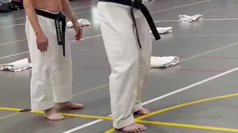 Black Belt Training: Master Strikes, Defense & Discipline