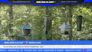 BIBLENKJV.COM™ 🛐 10/13/2025 #LIVE #WEATHER #KNOXVILLE