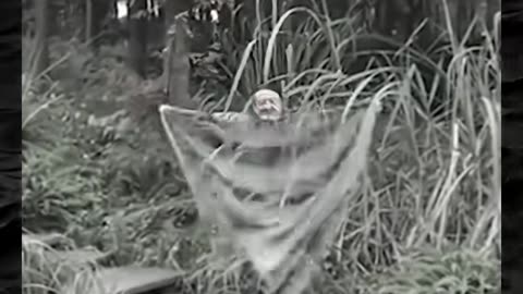 👀💀 Creepy Shadows Caught Moving on Camera! | TheHauntingHour