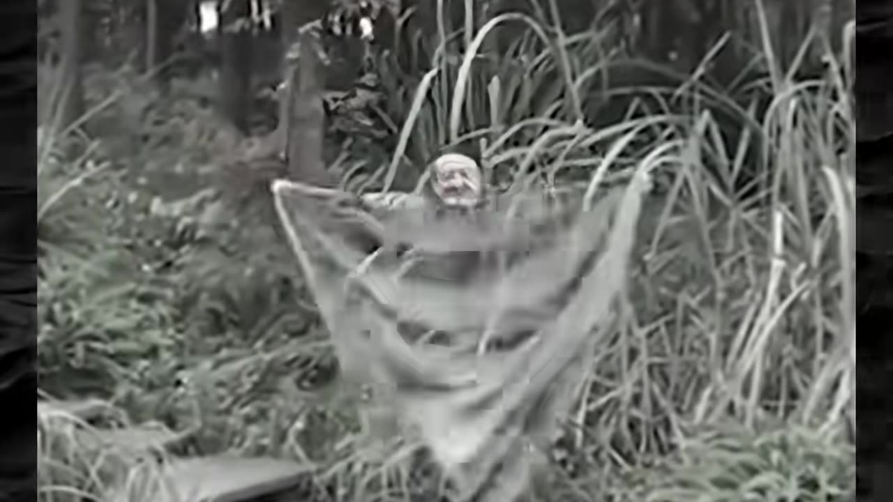 👀💀 Creepy Shadows Caught Moving on Camera! | TheHauntingHour