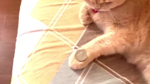 Will you play with me?