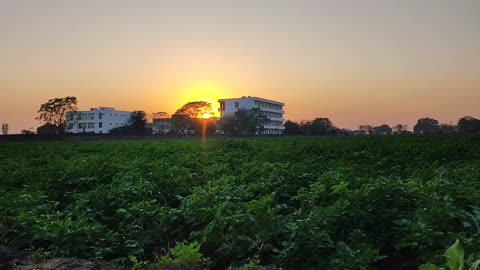 Environment in india