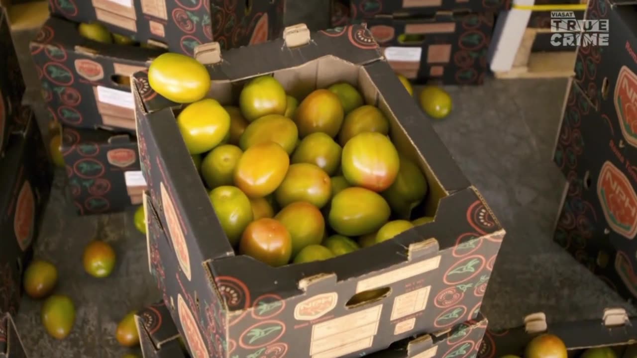 AMERYKAŃSKIE GRANICE 26 dokument pl