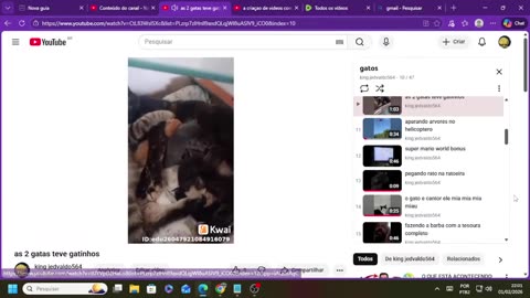 Cópia de criaçao de videos pelo youtube gatos engraçados.mp4