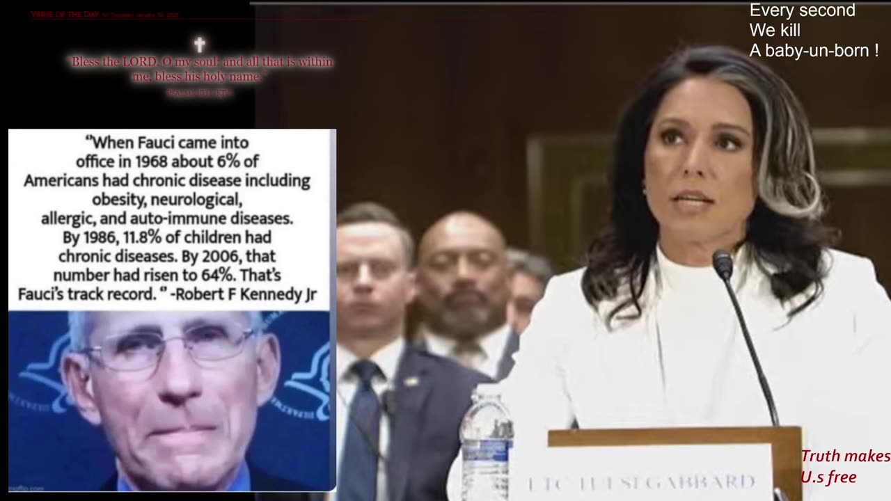 Tulsi Gabbard hearing