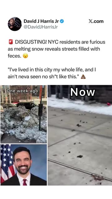 Politics - 2026 NY Under Filthy Socialist Commie Mamdani Full Of Shit In The Streets Already