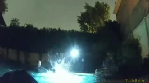 Officer saves LAPD K9 who fell in backyard pool during search