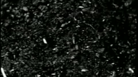 Marilyn Manson - Cryptorchid