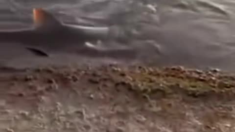 😱🕯️ Extended Paranormal Footage Unveiled! | TheHauntingHour