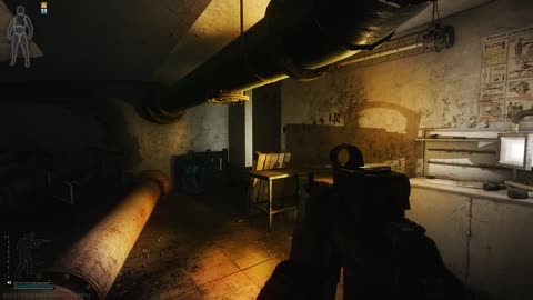 The experience of attacking D2 rats