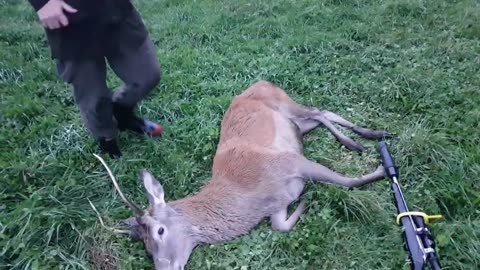 Evening hunt gentlemans style