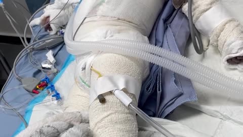 So I ask you, look at him and tell me: Is this boy ‘The Enemy’?