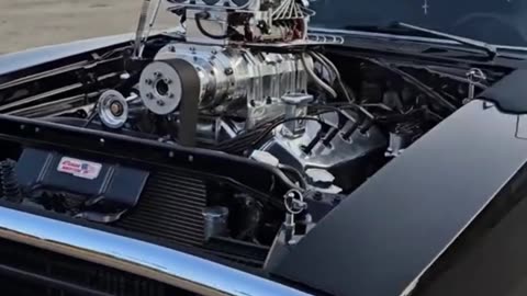 FASTFURIOUS BEST OF THE DAY
