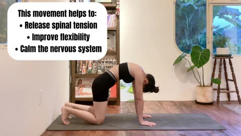 2-Minute Cat–Cow Exercise | Relieve Back Pain & Relax Your Spine