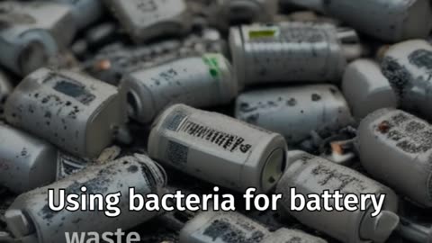 Bacteria That Can Safely Eat Battery Waste: A Breakthrough Discovery