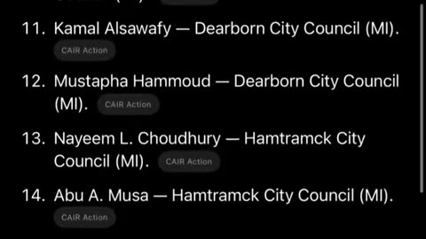 Wall Street Apes - American woman raising the alarms over the 38 Muslims that just got elected ...