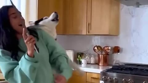 Struggling With a Disobedient Puppy? This Training Method Changes Everything