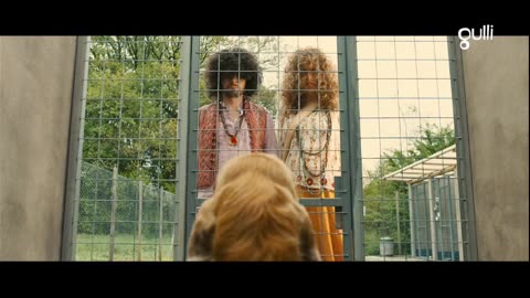 Gulli boule and bill