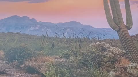 101725 THE APOKALUPSIS OF THE 144,000: RISE MIGHTY WARRIOR BRIDE- WILLIAM BROOKS