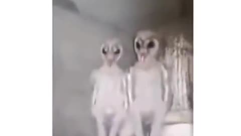 👽🏠 Aliens in the Roof? Unexplained Lights Caught on Camera! | TheHauntingHour
