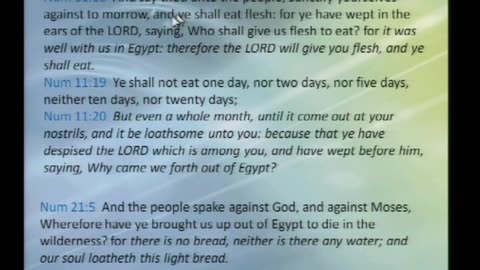 Total Transformation – 1006 Nothing but this Manna by Walter Veith