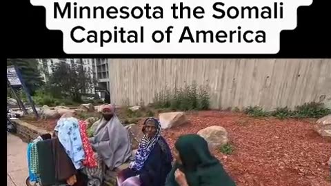 nick shirley's post This is Minnesota, the Somali capital of the America…