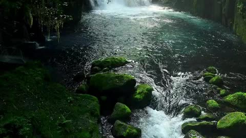 lotinha quininha seninha.mp4