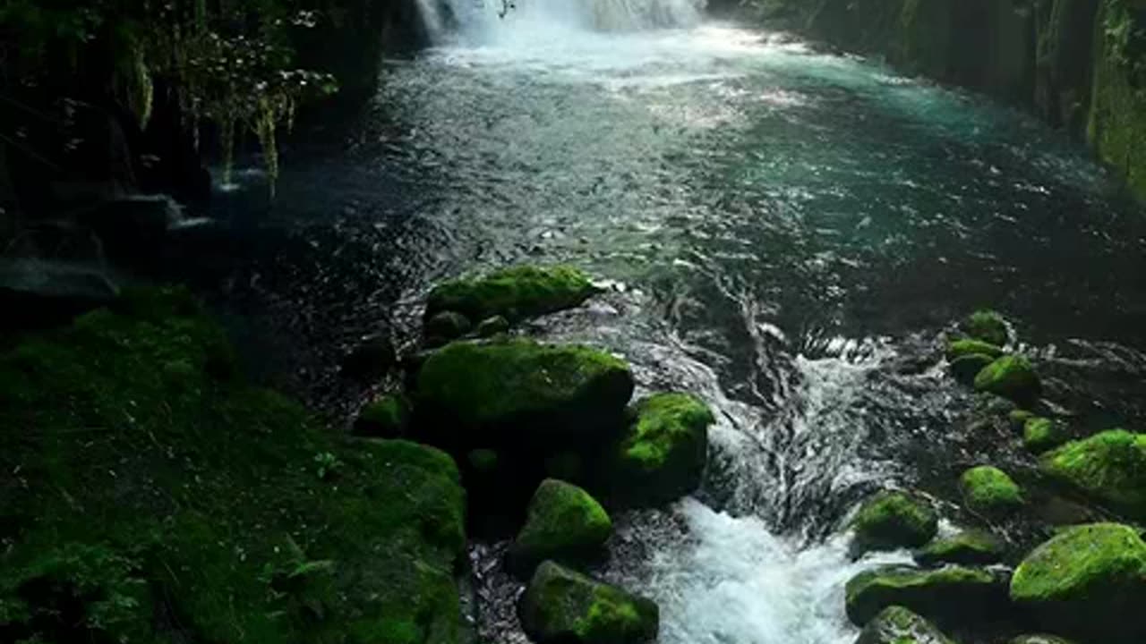 lotinha quininha seninha.mp4