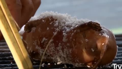 Roasting a Mole: Unforgettable Tastes or Regrets?