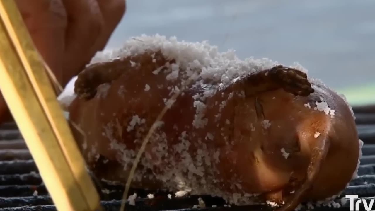 Roasting a Mole: Unforgettable Tastes or Regrets?