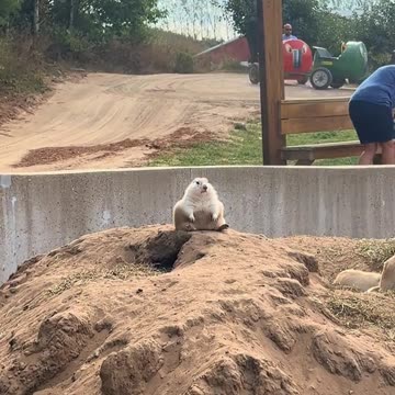 Where did the year go 😊