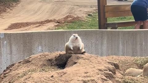 Where did the year go 😊