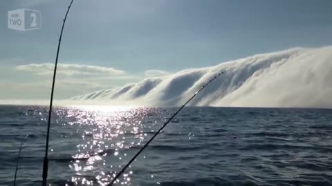 🌫️😮 A Tsunami of Fog Engulfs the City! | FeedMyCuriosity