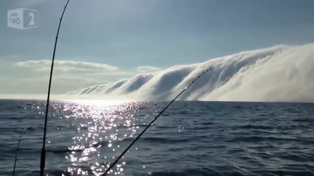 🌫️😮 A Tsunami of Fog Engulfs the City! | FeedMyCuriosity