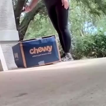 DELIVERY FAIL #shorts #113 #delivery #failscompilation #funnyclip #failcompilation #fail #funny