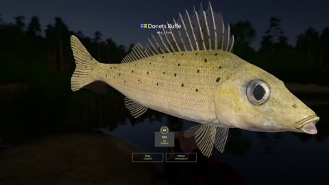 RARE Donets RUFFE, Winding Rivulet, Russian Fishing 4